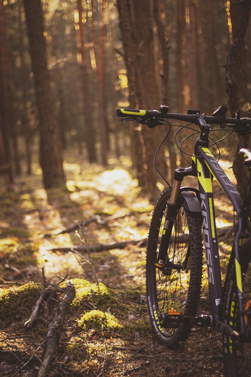 bike, kross, forest-4902599.jpg